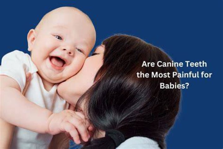 Are canine teeth painful for babies?