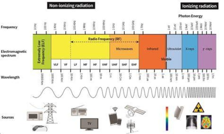 Are radio frequencies harmful to humans?