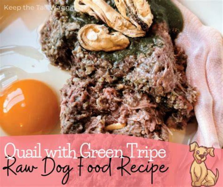 Can you mix raw and cooked meat for dogs?