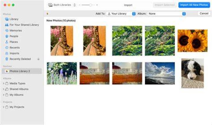 How do I import photos into iPhoto?