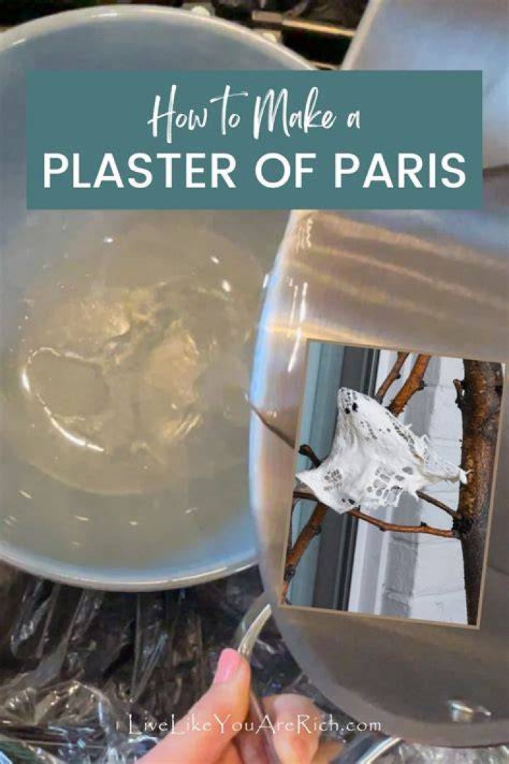 How do you make a plaster of paris cave?