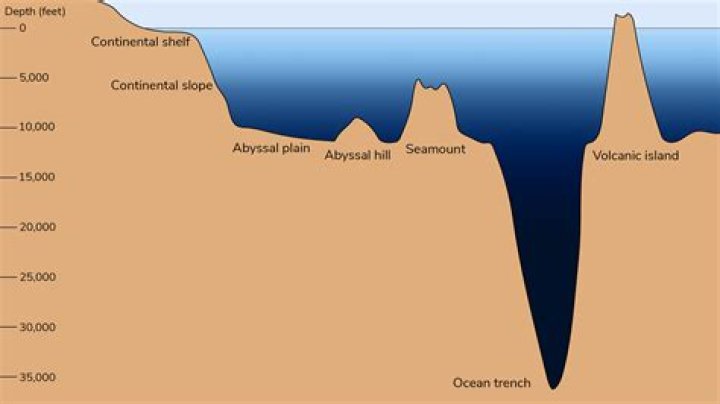 Is a narrow topographic depression of the seafloor It is the deepest part of the ocean?