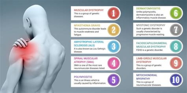 What diseases cause chronic muscle pain?