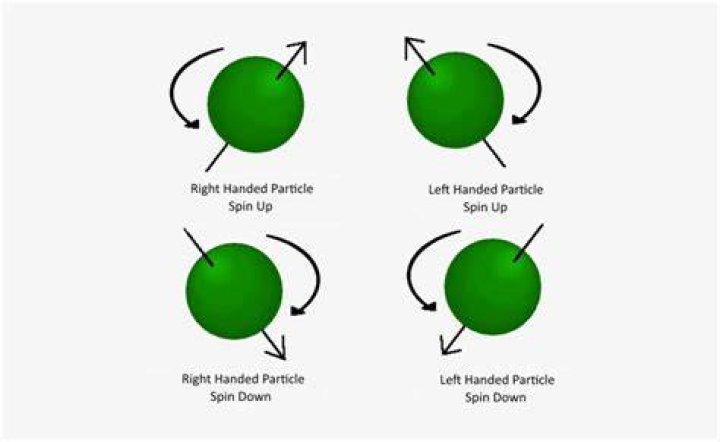 What is meant by half integer spin?