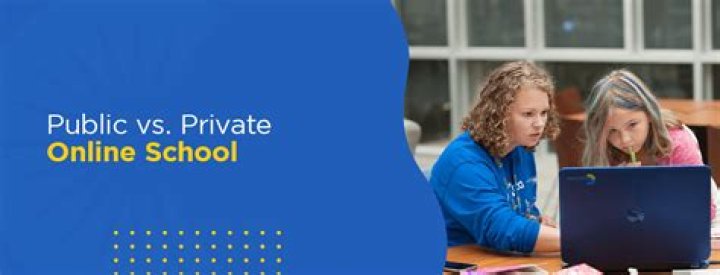 What is the best private online school?