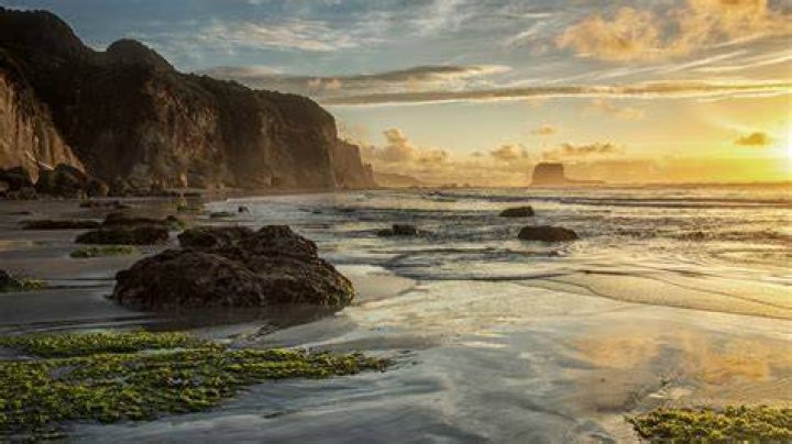 What ocean is on the west coast of New Zealand?