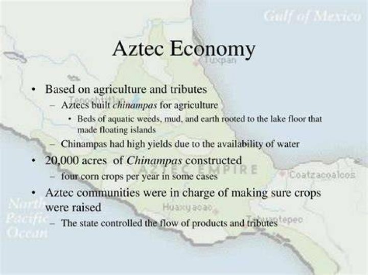 What was the Aztec economy based on?
