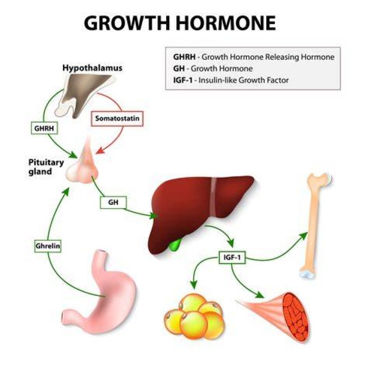Why is human growth hormone illegal?
